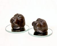 Marnie Sinclair sculpture of seal heads poking from the water in bronze