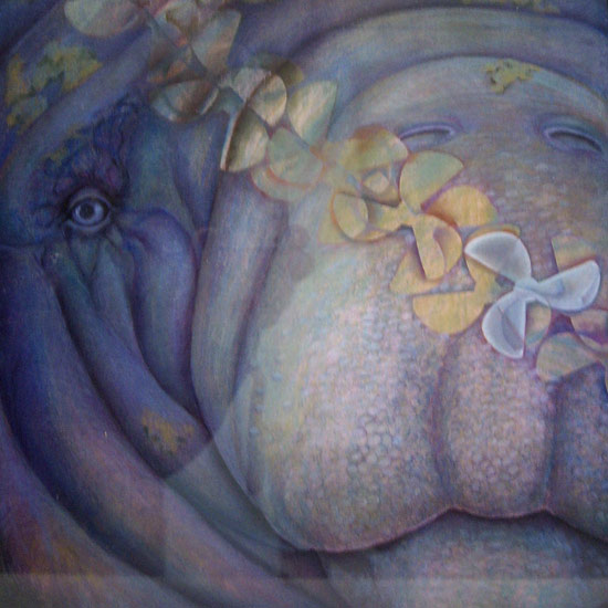 Marnie Sinclair pastel painting Hippo